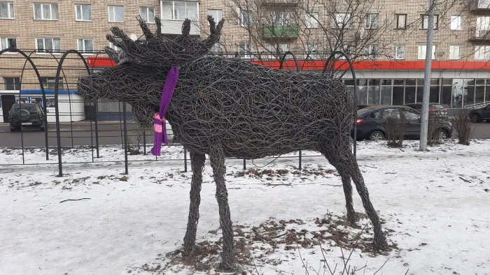 Сортавала Лось