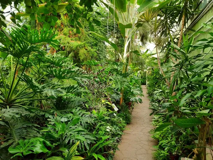 Самарский ботанический сад в тропической оранжерее
