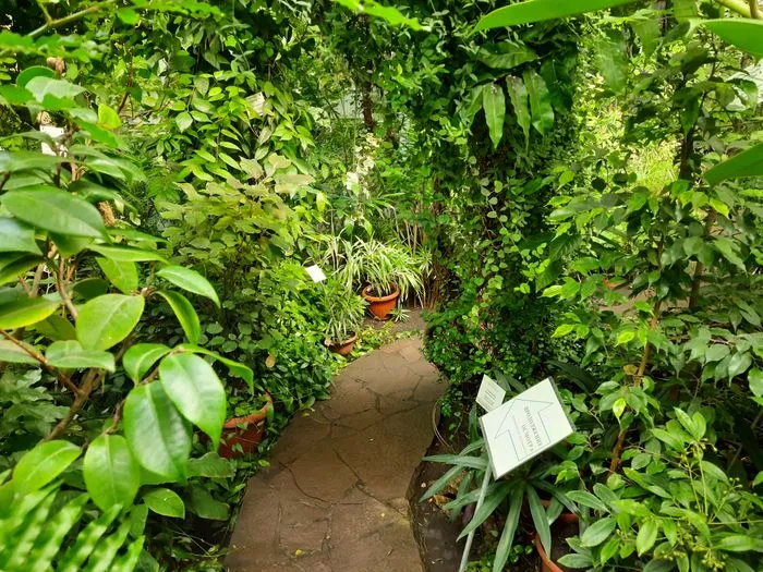 Тропическая оранжерея в ботаническом саду