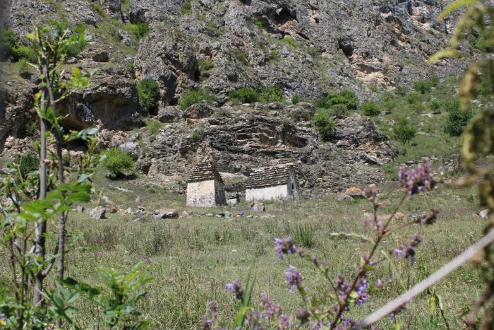 Куртатинское ущелье в Северной Осетии Дзивгисский некрополь