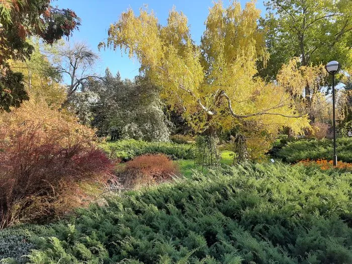 Осень в ботаническом саду