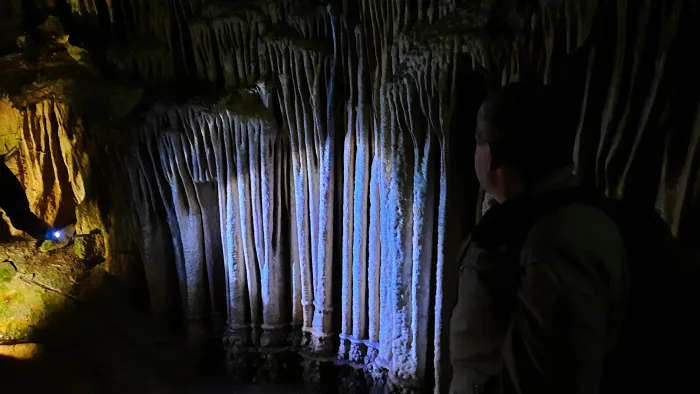 Мамонтовая пещера Органный зал