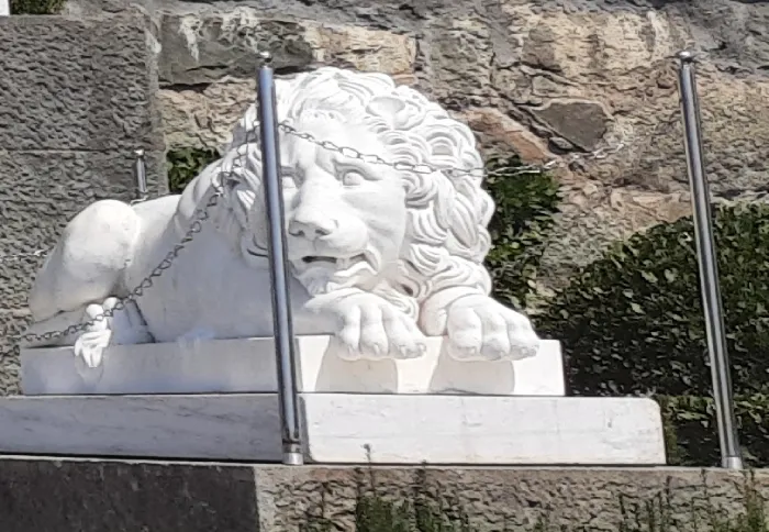Воронцовский дворец Спящие львы