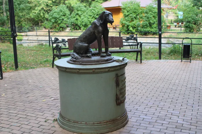 Достопримечательности Елабуги Памятник бездомной собаке
