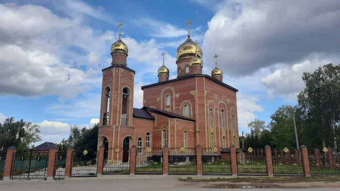 Православные храмы Самарской области Владимирская церковь